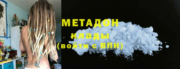 шишки Долгопрудный