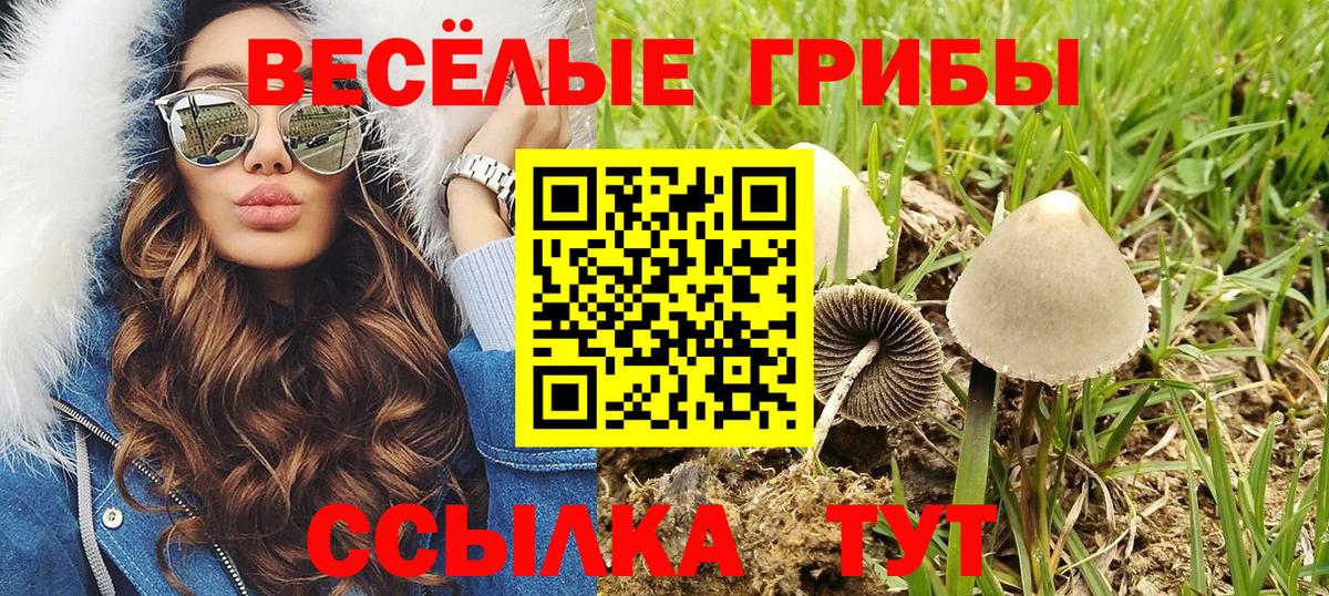 что такое наркотик  Галлюциногенные грибы Psilocybe  Джанкой  Вход с VPN  Галлюциногенные грибы мицелий 