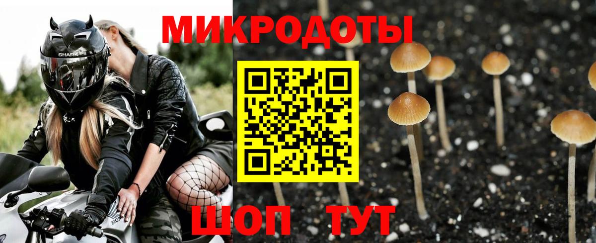 Галлюциногенные грибы Psilocybine cubensis Джанкой